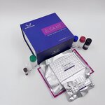 PCT ELISA Kit - EasyStep Human Procalcitonin Research Use Only