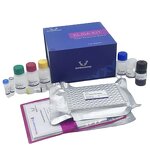 SOD ELISA Kit - Human Superoxide Dismutases Research Use Assay Kit