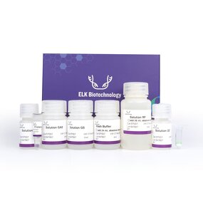 FE ELISA Kit - EasyStep Human Ferritin Time-Saving Research Assay Kit
