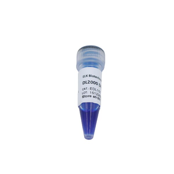 DNA Marker - DL2000 100bp-2000bp Molecular Biology Ladder