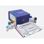 ANXA1 ELISA Kit - EasyStep Human Annexin A1 Research Use Only