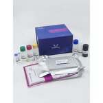 FE ELISA Kit - EasyStep Mouse Ferritin Research Use Assay Kit