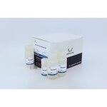 Plasmid Purification Kit - Max Yield High Quality Research Use Only