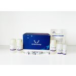 Viral RNA Clean Kit - High Yield Hot Selling Peer-Reviewed Publications