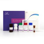 CP ELISA Kit - EasyStep Human C-Peptide Wide Dynamic Range Research Use