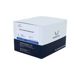Plasmid Purification Kit - Max Yield High Quality Research Use Only