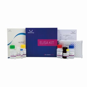 Cys-C ELISA Kit - EasyStep Human CystatinC Fast Assay 1.5h Completion