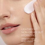 Lotus Water Face Cream - Factory - Private Label Anti Aging Purifying Deep Hydrating Calming Moisturizer