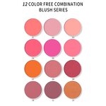 Highlighter Blush Palette - Manufacturer - Wholesale Vegan 2 Colors Contour Matte Pressed Powder Private Label