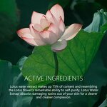 Lotus Water Face Cream - Factory - Private Label Anti Aging Purifying Deep Hydrating Calming Moisturizer