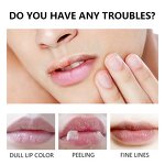 Rose Petal Lip Oil - Manufacturer - Private Label Moisturizing Vitamin E Lip Care Oil