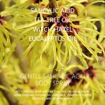 Back Body Acne Spray - Manufacturer - OEM Salicylic Acid Witch Hazel Deep Cleansing Acne Treatment