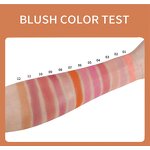 Highlighter Blush Palette - Manufacturer - Wholesale Vegan 2 Colors Contour Matte Pressed Powder Private Label