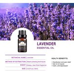 Essential Oil Set Manufacturer - Wholesale Private Label Top 3 Aromatherapy