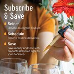 Licorice Root Extract Manufacturer - Private Label Organic Liquid Supplement