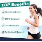 Berberine Supplement Drops Manufacturer - Private Label 12 in 1 Natural Liposomal