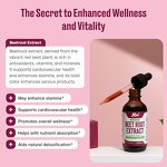 Beet Root Supplement Drops Manufacturer - Private Label Natural Vegan Fast Absorption