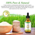 Hair Growth Serum Manufacturer - Natural with Rice Water for Stronger Hair