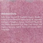 Body Scrub Manufacturer - Private Label with Blueberry, Collagen & Stem Cell