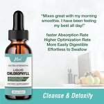 Chlorophyll Drops Manufacturer - Wholesale Private Label Natural Concentrate