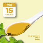 Lemon Balm Extract Drops Manufacturer - Private Label Organic Vegan for Mood