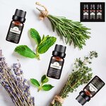 Essential Oil Set Manufacturer - Wholesale Private Label Top 3 Aromatherapy