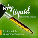 Licorice Root Extract Manufacturer - Private Label Organic Liquid Supplement