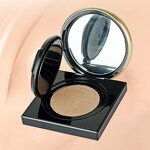 Air Cushion BB Cream - Manufacturer - Wholesale OEM Private Label Long Lasting Concealer Foundation