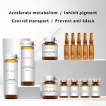 Vitamin C Turmeric Serum Set - Factory - Hydrating Niacinamide Face Whitening Skin Care Set