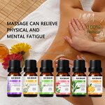 Tea Tree Essential Oil Set - Factory - Private Label 100% Natural Anti-Aging Stress Relieving Body Massage Oil Set