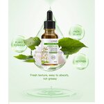 Essential Oil Set - Manufacturer - Custom Logo 100% Pure 10ml Jasmine Rose Lavender Diffuser Body Care Oil