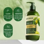 Olive Oil Shampoo - Manufacturer - Custom Logo Olive Fruit Extract Organic Daily Cleaning Moisturizing Shampoo