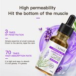 Lavender Essential Oil - Factory - Private Label Pure Organic Bulk Diffuser Body Skin Care Massage Oil Wholesale