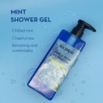 Blue Mint Body Wash - Factory - High Quality Private Label Organic Glycerin Daily Moisturizing Body Wash