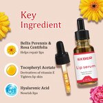 Vitamin E Lip Oil - Manufacturer - EKBER Wholesale 100% Shea Butter Non Greasy Lip Plumping Lightening Serum