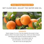 Sweet Orange Essential Oil - Factory - Chinese Manufacturer Organic 100% Pure SPA Skin Care Essential Oil