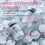 PDRN Lyophilized Serum - Manufacturer - EKBER Private Label 8ml Whitening Anti Wrinkle Home/SPA Face Serum