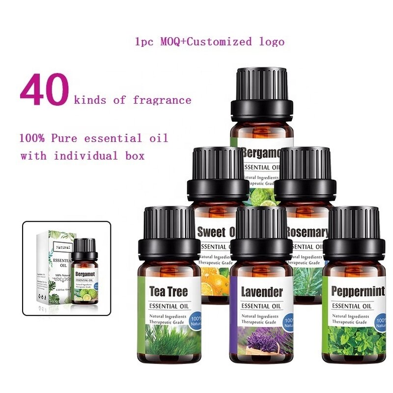 Eucalyptus Massage Oil - Manufacturer - Customized Logo Nice Fragrance Pure Natural Fruits Extracts Body Oil