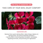 Essential Oil Set - Manufacturer - Wholesale Organic Natural Relieve Fatigue New Skin Care Essential Oil Set