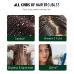 Tea Tree Hair Shampoo - Manufacturer - Wholesale Black Shampoo Tea Tree Oil All Hair Types Conditioner Set