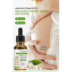 Essential Oil Set - Manufacturer - Custom Logo 100% Pure 10ml Jasmine Rose Lavender Diffuser Body Care Oil