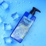 Blue Mint Body Wash - Factory - High Quality Private Label Organic Glycerin Daily Moisturizing Body Wash