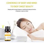 Chamomile Essential Oil - Factory - Wholesale Private Label Pure Natural CAS 8015-92-7 Skin Care Essential Oil