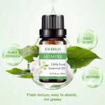 Jasmine Essential Oil - Factory - Wholesale Natural 10ml Bulk Skin Firming Moisturizing Body Care Massage SPA Oil