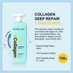 Deep Repair Hair Set - Factory - Wholesale Private Label Organic Moisturizing Strengthening Dandruff Care