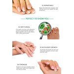 Fungal Nail Repair Serum - Factory - Private Label Feet Care Nail Fungus Removal Gel Anti Infection Serum