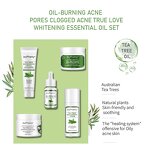 Tea Tree Acne Serum Set - Manufacturer - Private Label Korean Organic Whitening Face Cream Skincare Set