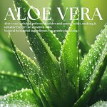 Yoni Wash Gel - Manufacturer - 100% Organic Aloe Vera PH-Balanced Cleansing Irritation Relief Odor Neutralizing