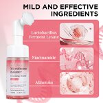 Korean Cleansing Mousse - Factory - Lactic Acid Niacinamide Amino Acid Sulfate-free Oil-Control Hydrating Cleanser