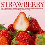 Yoni Wash Gel - Manufacturer - Organic Herbal Strawberry Refreshing Odor Control Hydrating Feminine Intimate Gel